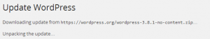 wordpress update hangs